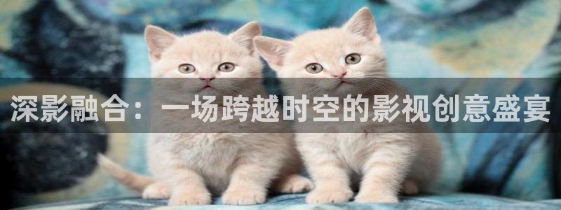 善良的嫂子奇优影院