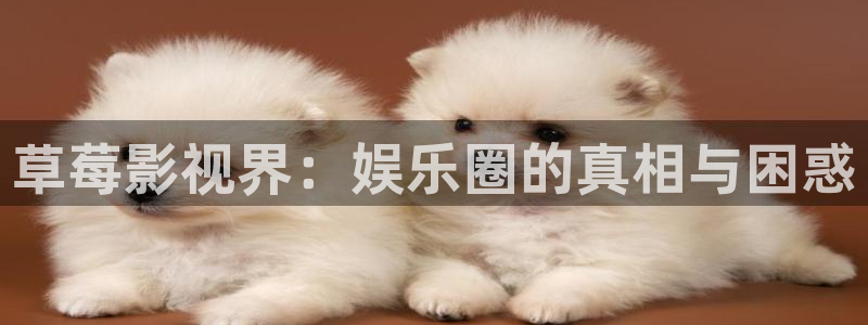 奇优电影手机版在线观看