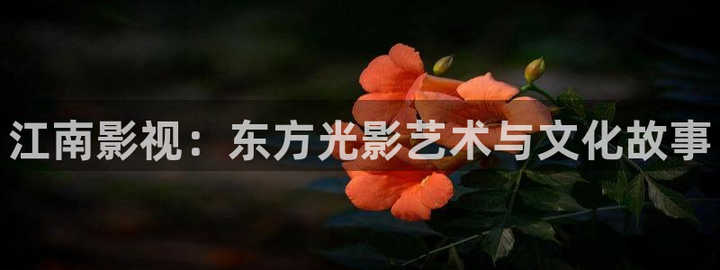 奇优影院 手机在线观看